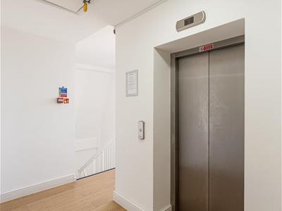 Picture 24
